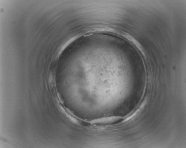 X0000061741385200512231449