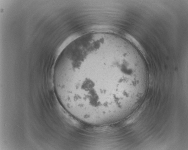 X0000061741386200512231449