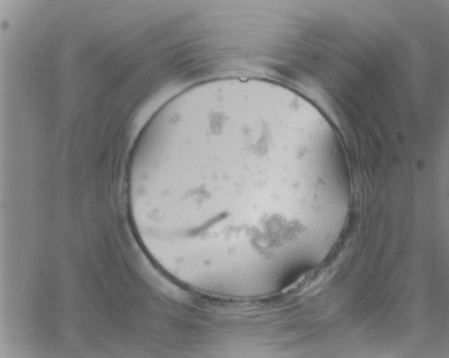 X0000061741387200512231449