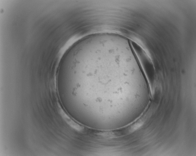 X0000061741388200512231449