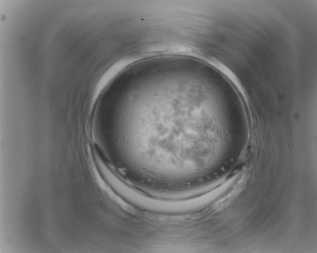 X0000061741389200512231449