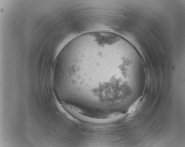 X0000061741390200512231449