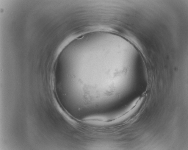 X0000061741391200512231449