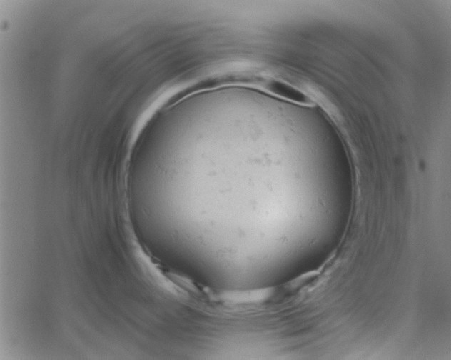 X0000061741392200512231449