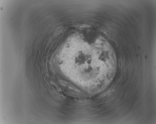 X0000061741393200512231448