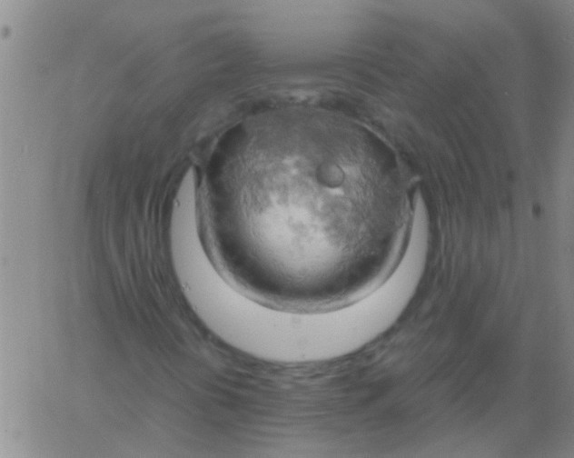 X0000061741394200512231448