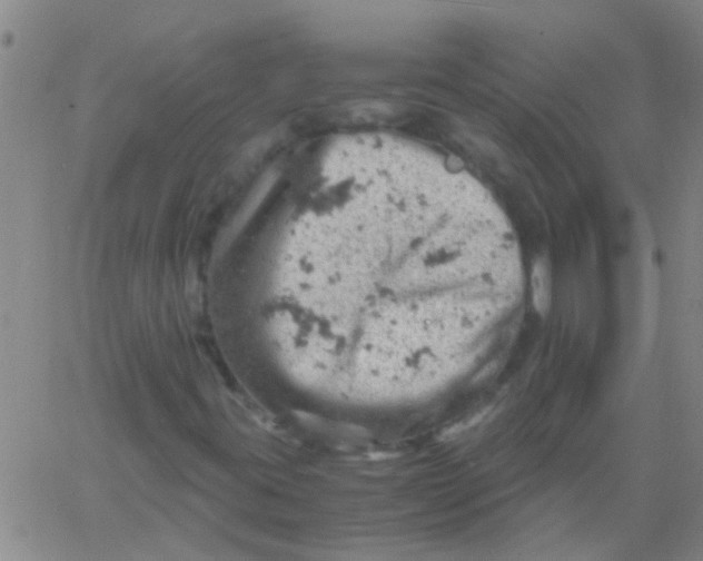 X0000061741395200512231448