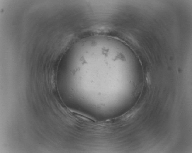 X0000061741396200512231448