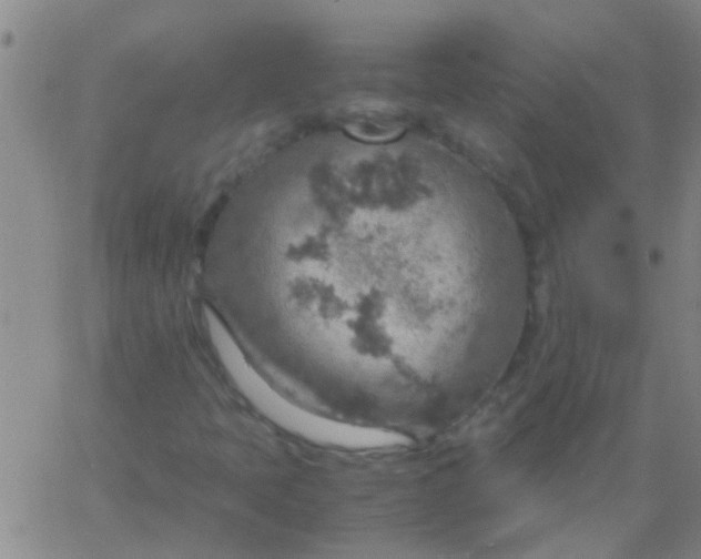 X0000061741397200512231448