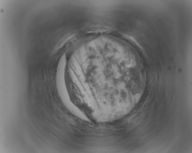 X0000061741399200512231448