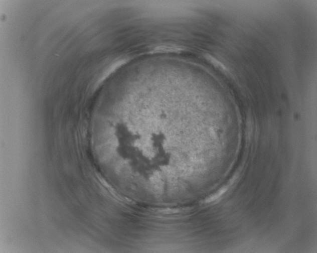 X0000061741401200512231448