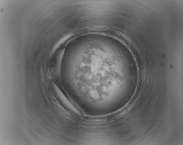 X0000061741402200512231448