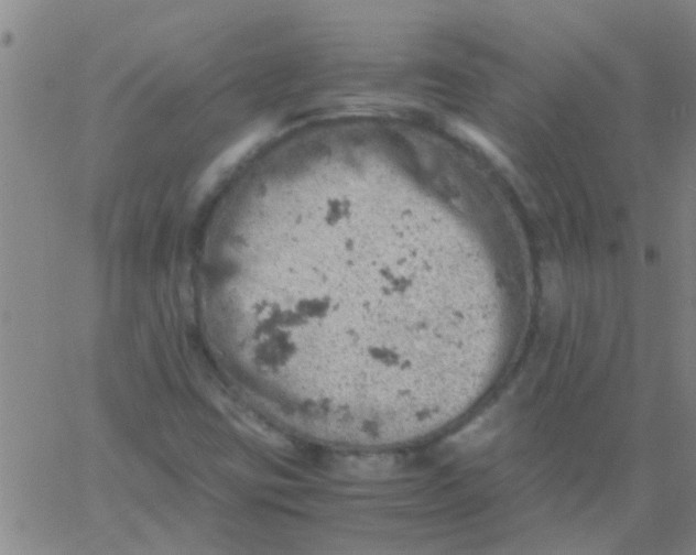 X0000061741403200512231448