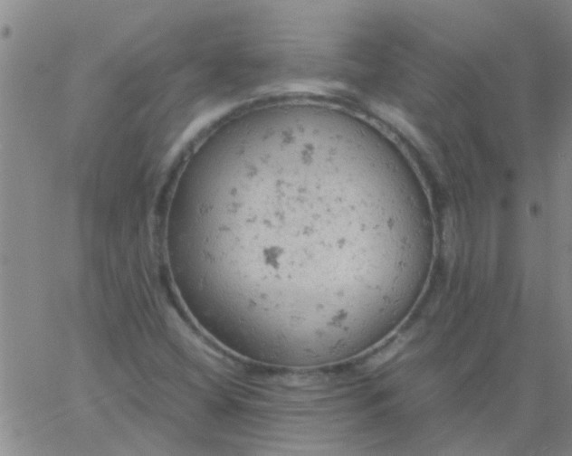 X0000061741404200512231448