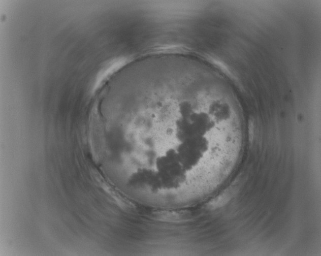 X0000061741405200512231448