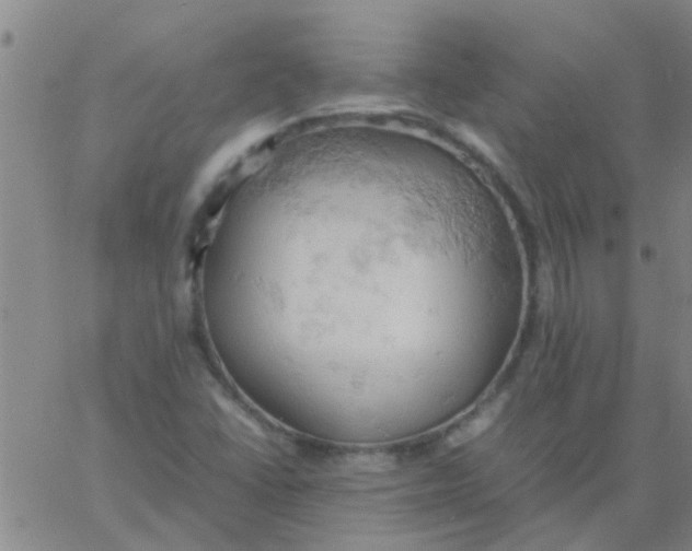 X0000061741406200512231448