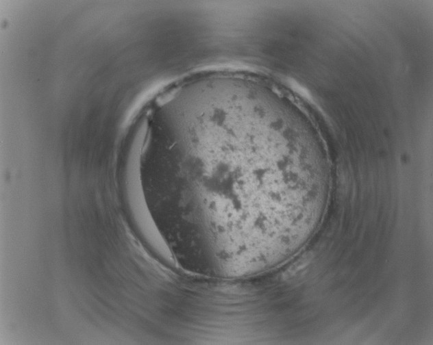 X0000061741408200512231448