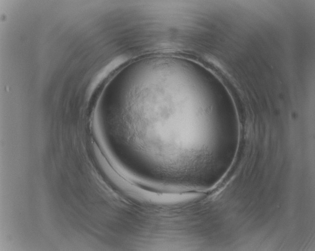 X0000061741410200512231448