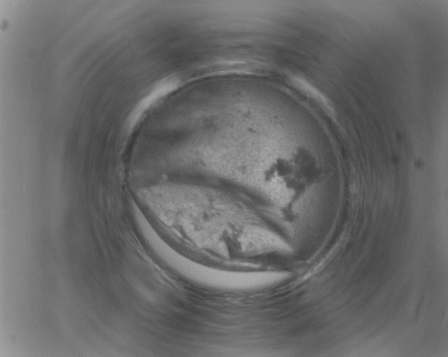 X0000061741411200512231448