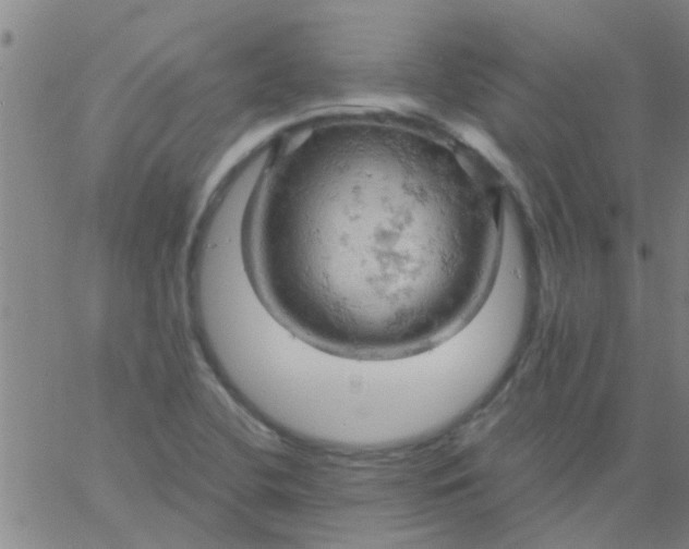 X0000061741412200512231448