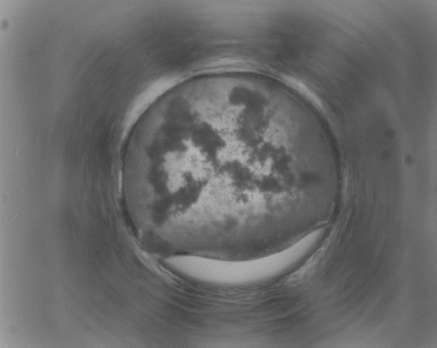 X0000061741413200512231448