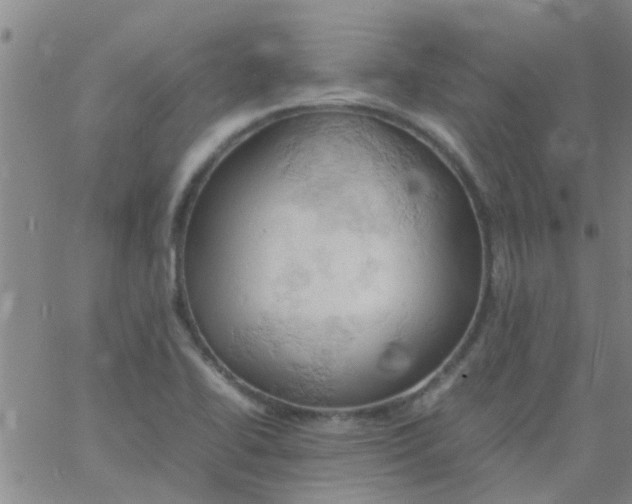 X0000061741414200512231448