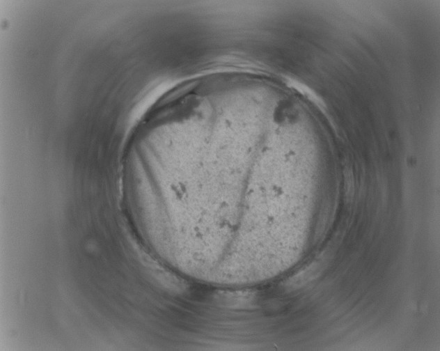 X0000061741415200512231448