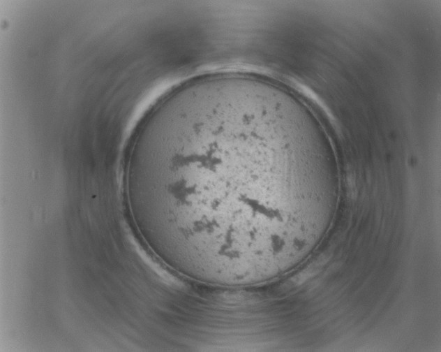 X0000061741416200512231448