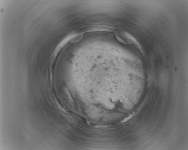 X0000061741419200512231448