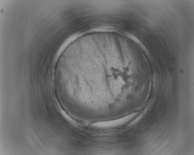 X0000061741421200512231448