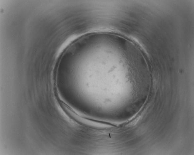 X0000061741422200512231448