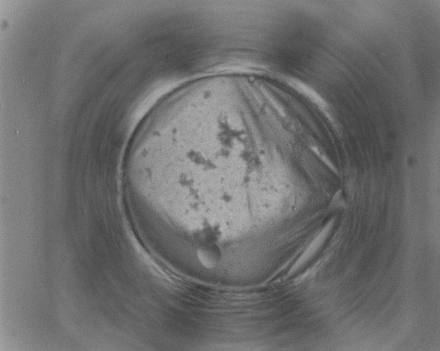 X0000061741423200512231448