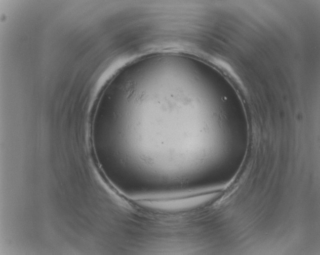 X0000061741424200512231448