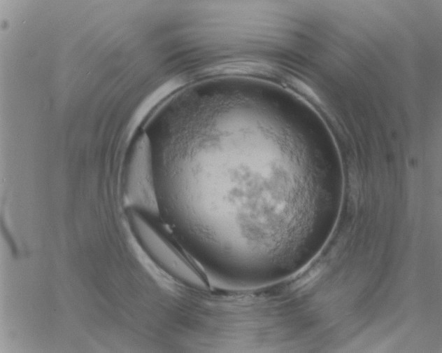 X0000061741426200512231448