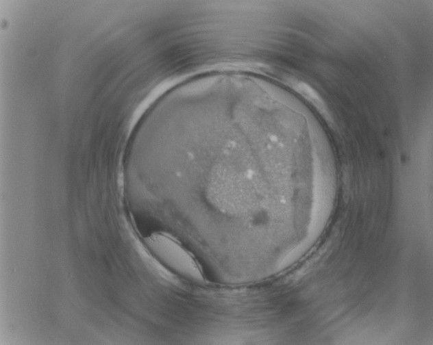 X0000061741428200512231448