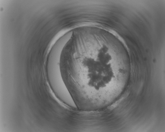 X0000061741429200512231448