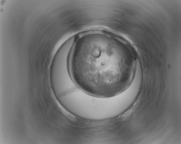 X0000061741430200512231449