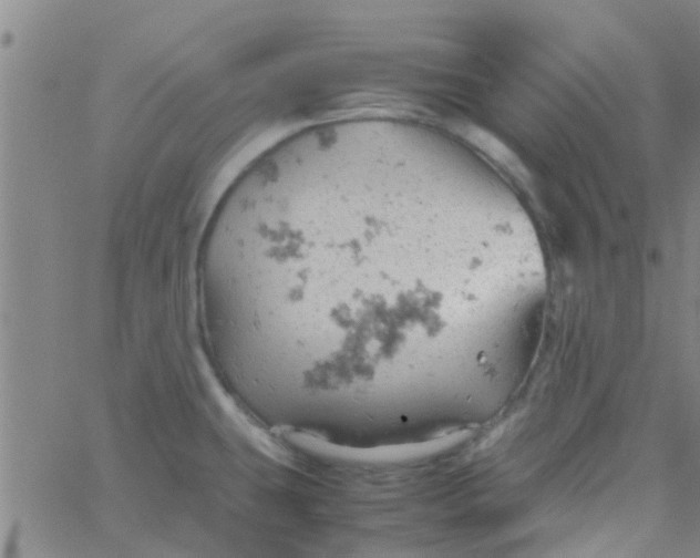 X0000061741431200512231449