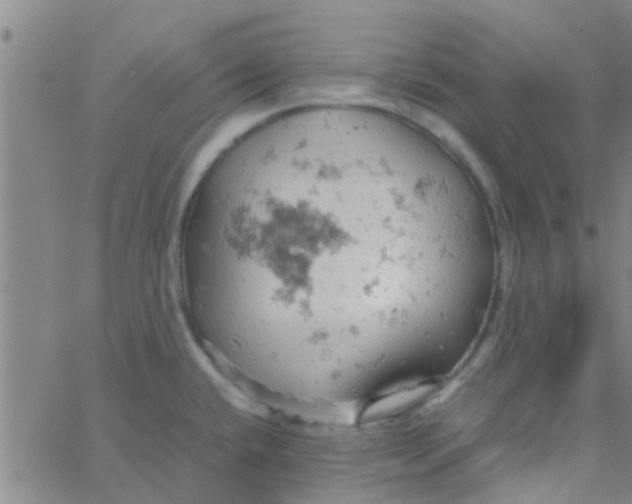 X0000061741432200512231449