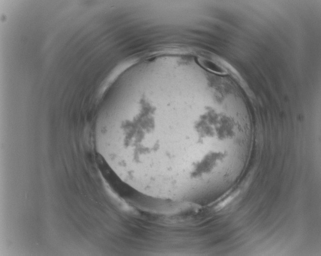 X0000061741433200512231449