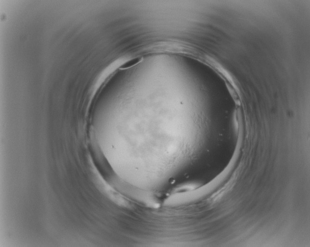 X0000061741434200512231449