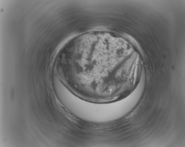 X0000061741435200512231449