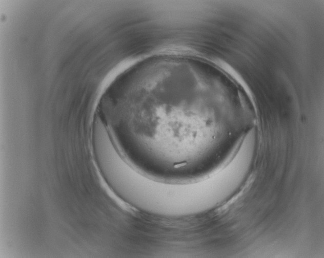 X0000061741437200512231449