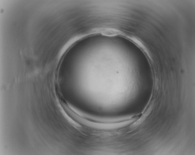 X0000061741438200512231449