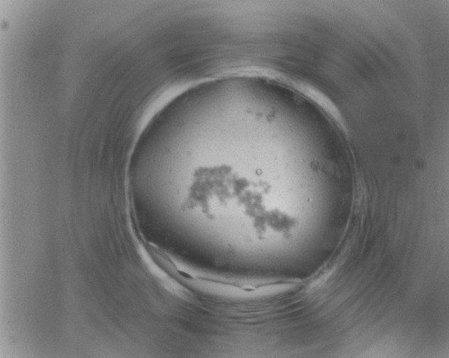 X0000061741439200512231449