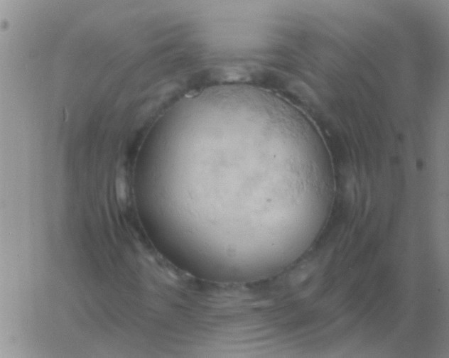 X0000061741442200512231448