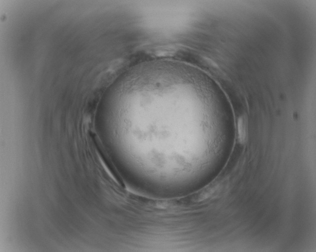 X0000061741443200512231448