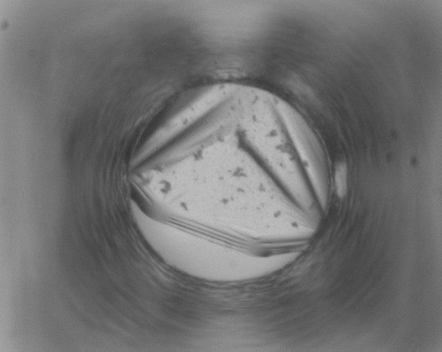 X0000061741444200512231448