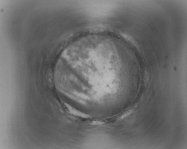 X0000061741445200512231448