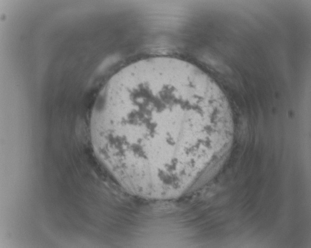 X0000061741446200512231448